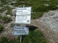 Wegweiser - Weg zum Hochvogel