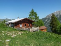 Saxer Alm