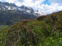 Lärchspitze - Esther Kerber