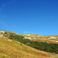  Auf dem Weg zum Hahnleskopf