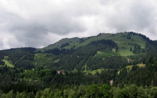  Benglerwald
