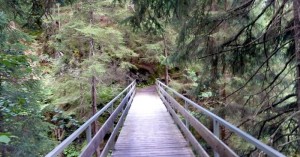  Brücke Modertal