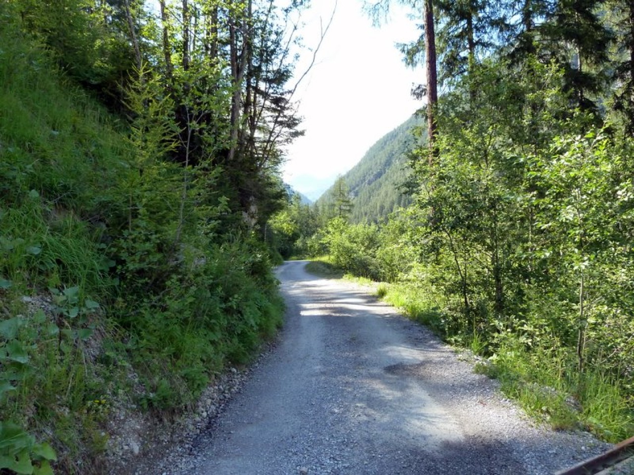  Durch den Wald