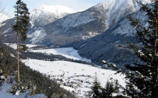  Elbigenalp