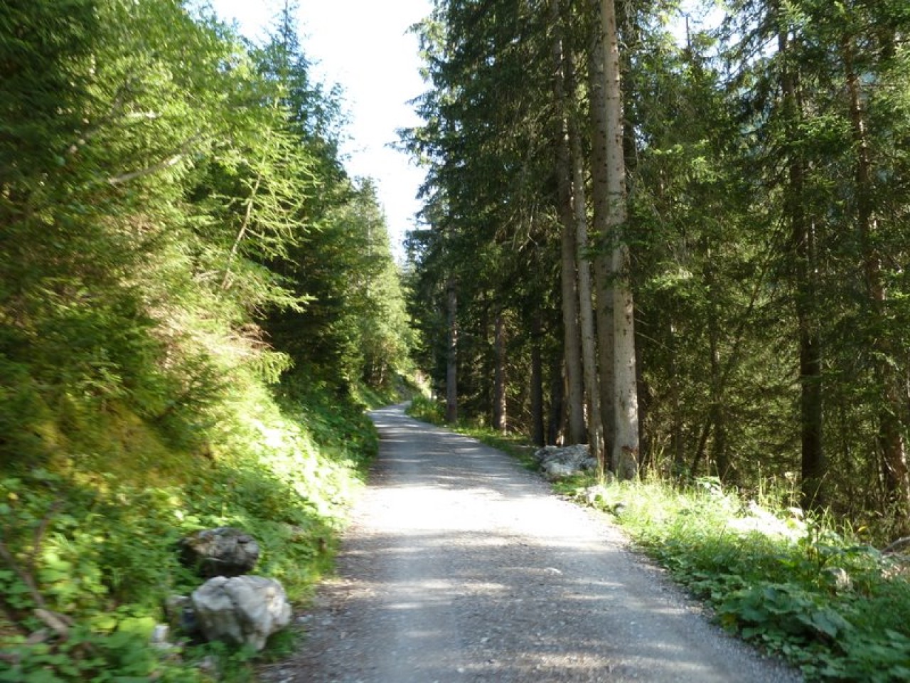  Güterweg Kaiseralm