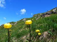 Hahnleskopf