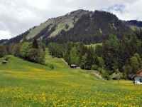 Holzgau im Frühling - Gföllberg