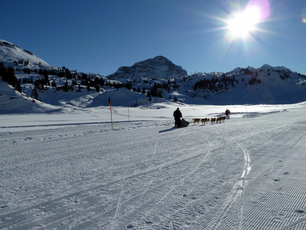  Körbersee Schlittenhunde