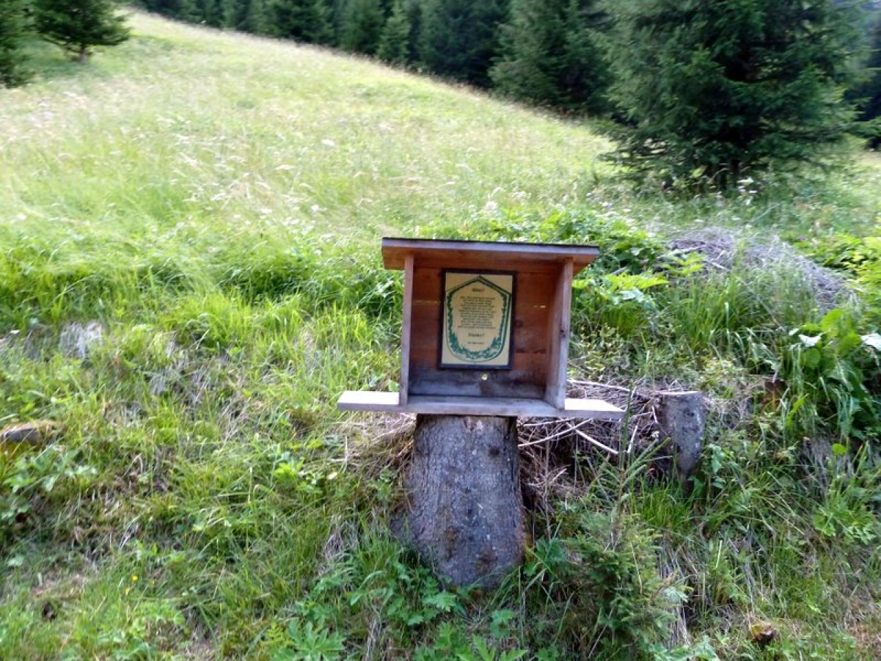  Schild