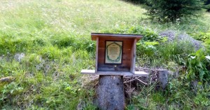  Schild
