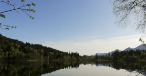 Schwanensee