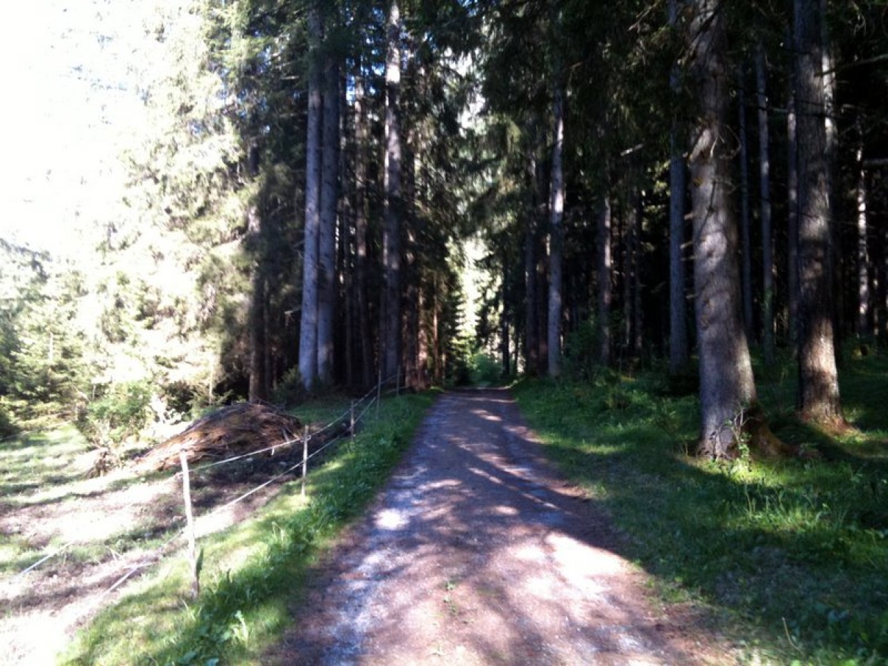  Wanderweg zur Scheibe