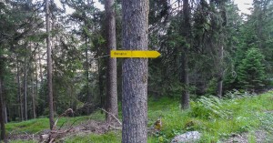  Pleis- oder Bleisspitze - abweichende Namen