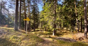  Einmündung Wanderpfad Forststrasse