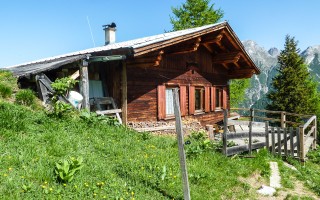  Saxer Alm