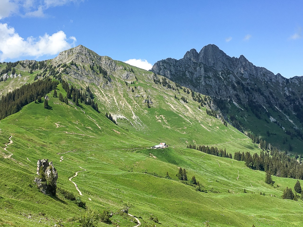  Lechaschauer Alm und Gehrenspitze