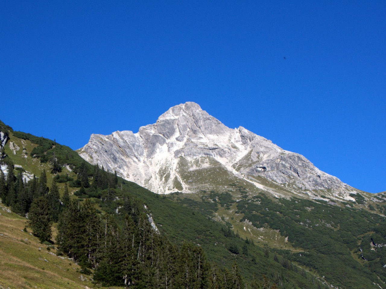  Biberkopf
