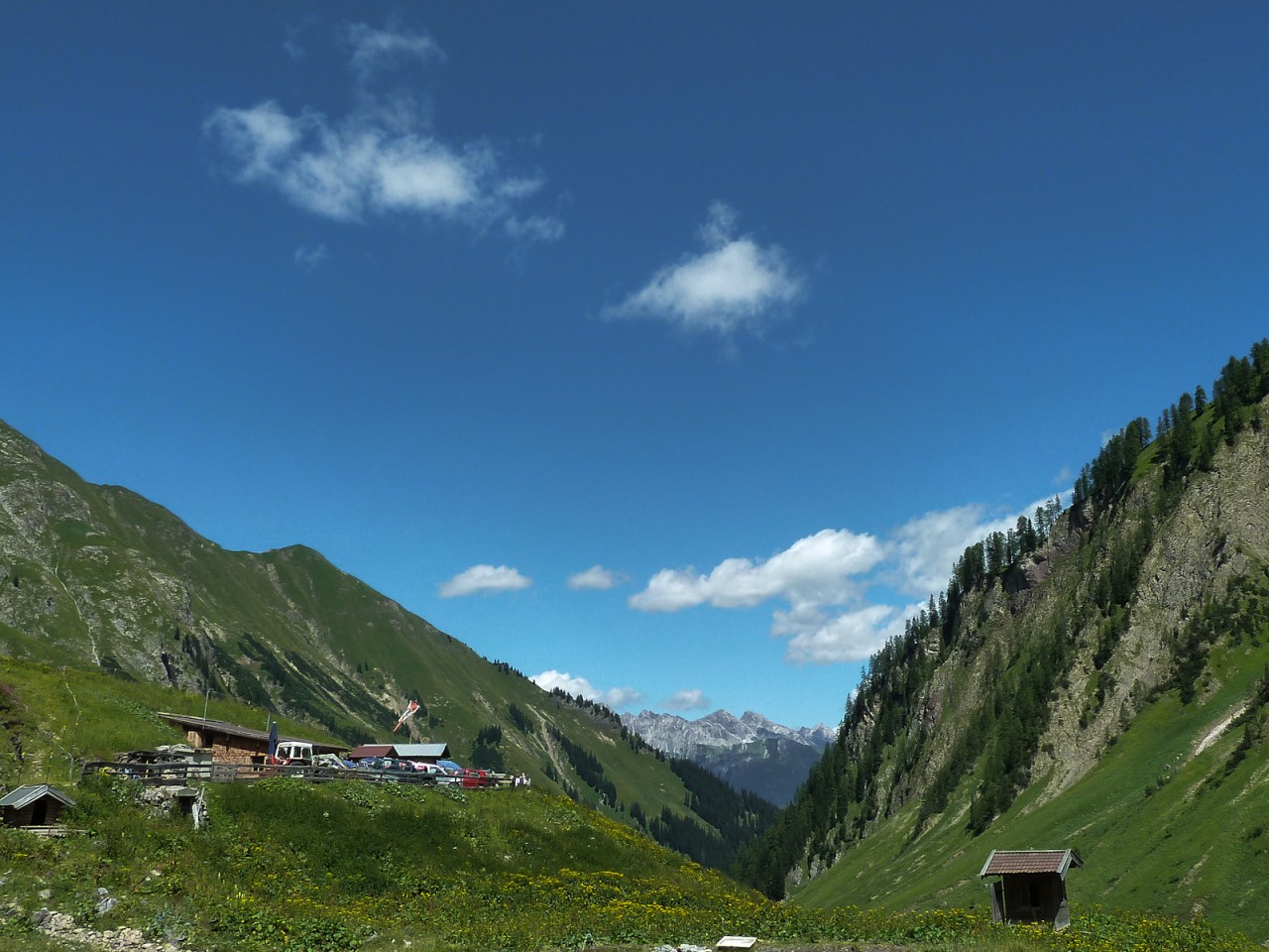  Baumgartalm