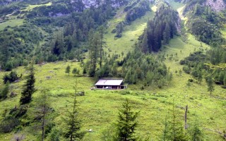  Alperschonalm