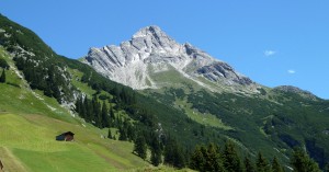 Biberkopf