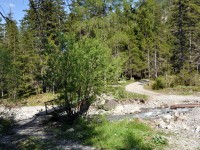 Brücke auf dem Weg zur Scheibe