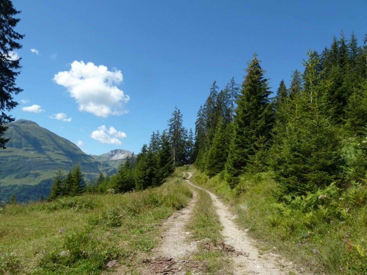  Forstweg Holzgau