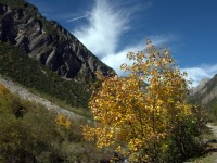 Höhenbachtal