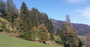  Holzgau Gföll