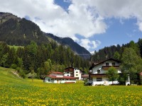 Holzgau im Frühling - Höhenbachtal und Hängebrücke