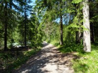 Jochweg Steeg