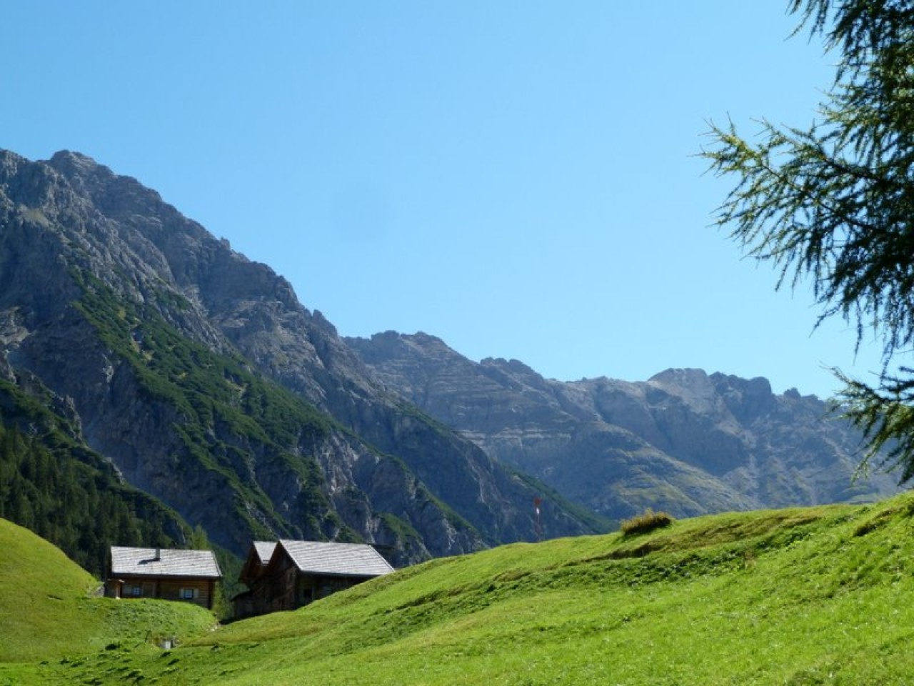  Pfafflar