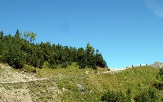  Weg zur Mahdbergalpe