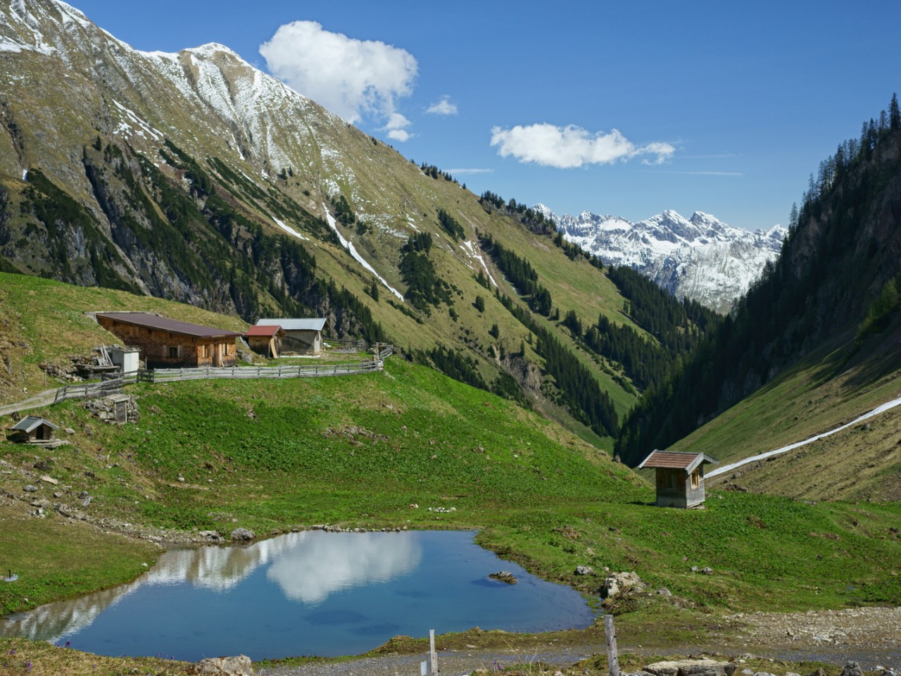  Baumgartalm - Willi Weißensteiner