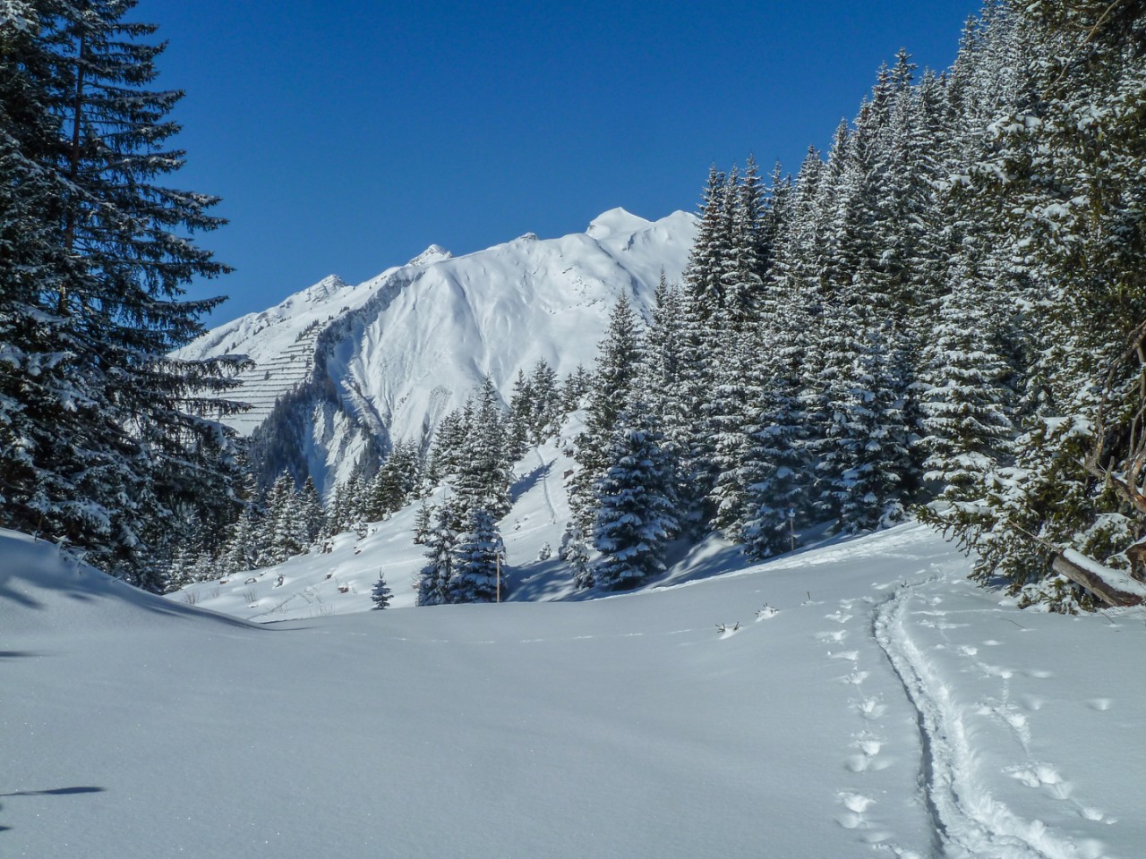  Sonnalm Joechelspitze