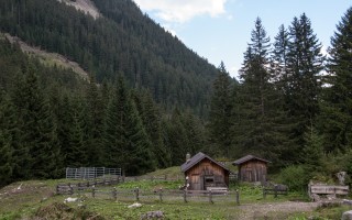  Zargenalpe