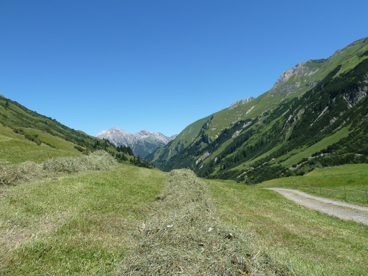  Heuernte Krabach