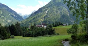  Benglerwald