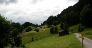  Gföll - Blick Richtung Westen