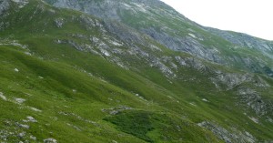  Holzgauer Muttekopf