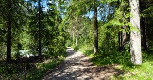  Jochweg Steeg