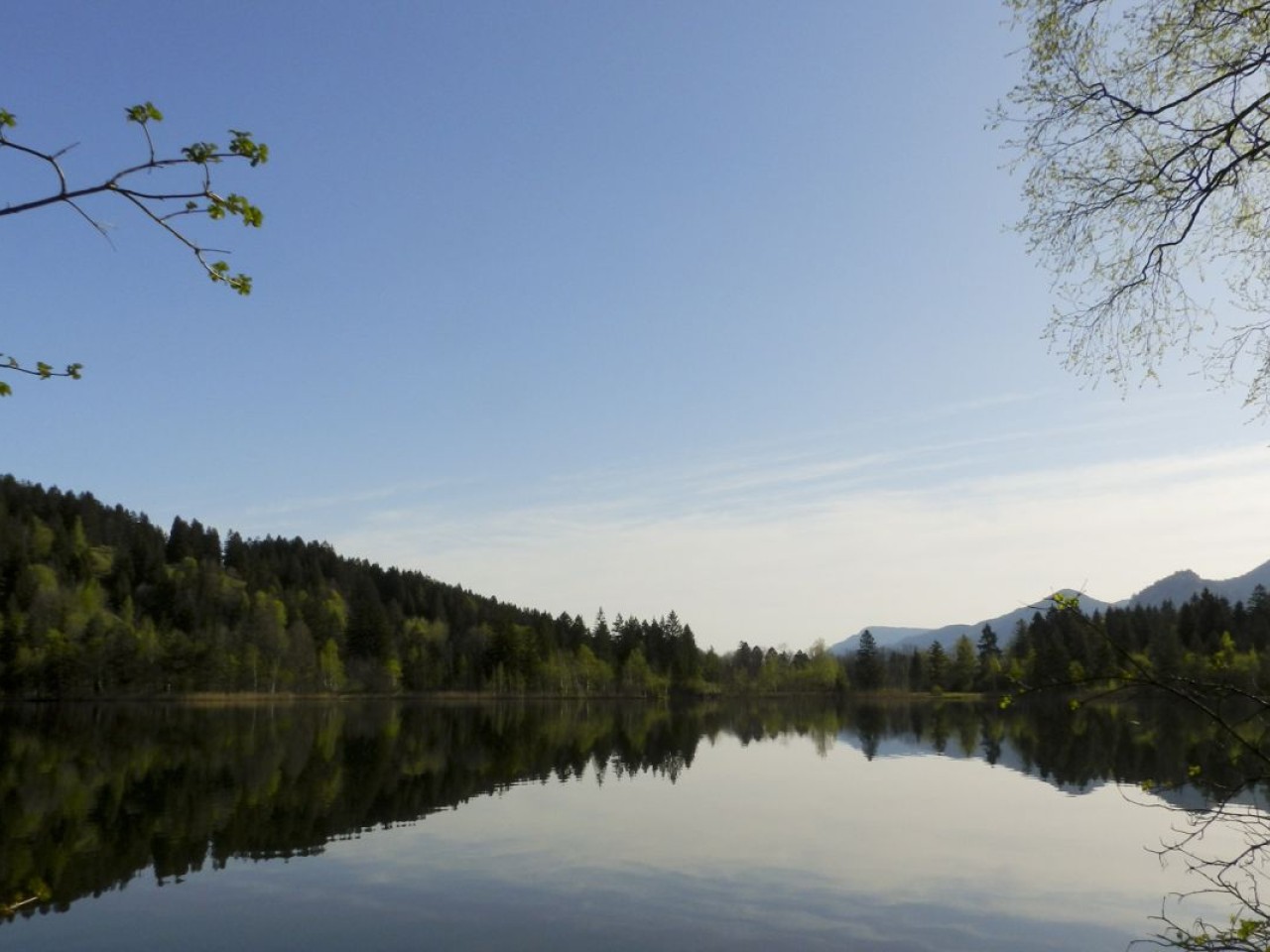  Schwanensee