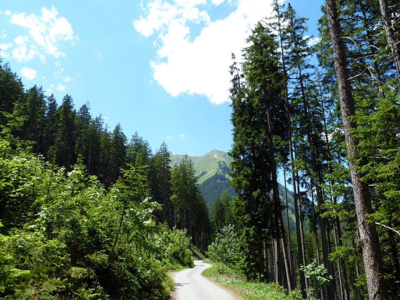  Strasse nach Madau