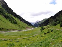 Wanderung_zur_Alpe_Kaisers_im_Juli_2012_-_13.jpg