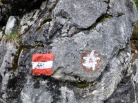 Wanderung_zur_Alpe_Kaisers_im_Juli_2012_-_16.jpg