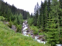 Wanderung_zur_Alpe_Kaisers_im_Juli_2012_-_3.jpg