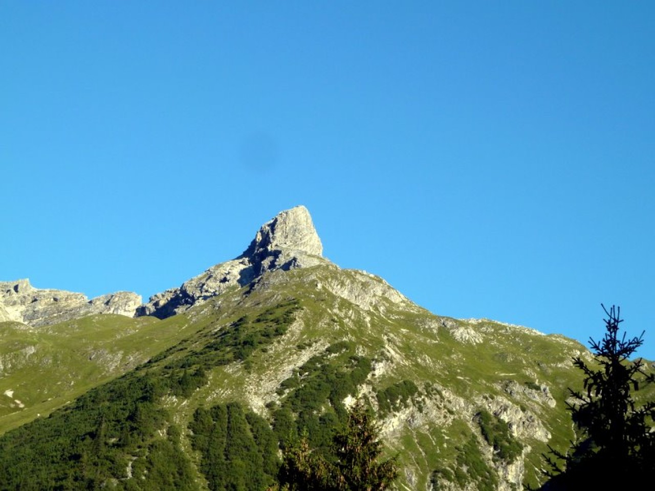  Wildmahdspitze vom Donnersam