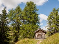 Schaferhütte