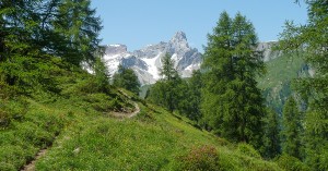 Blick zur Feuerspitze und zur Holzgauer Wetterspitze