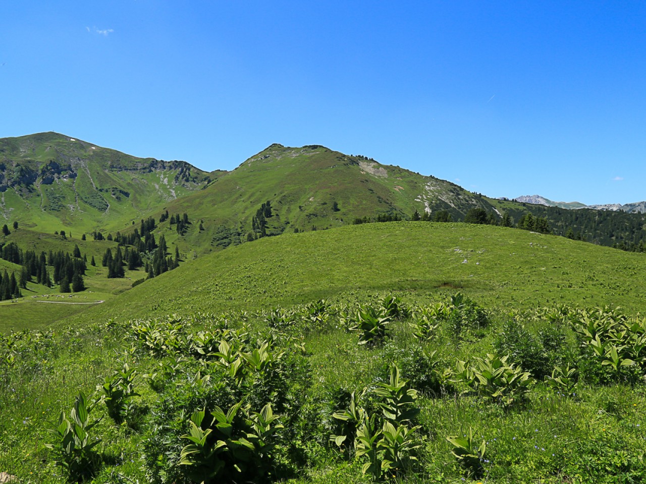  Galtjoch und Rainberg