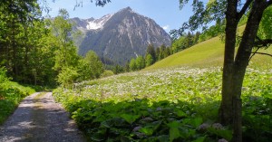  Namloser Jägersteig - Esther Kerber